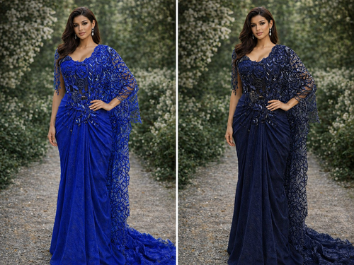 Drape Sari Hand Work Pallu